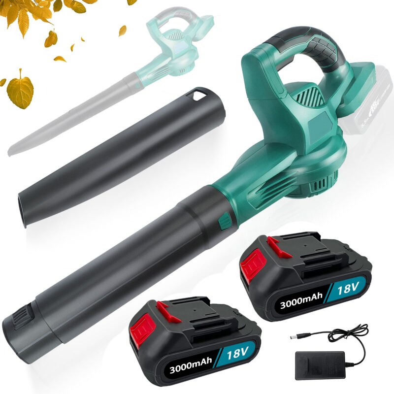 Souffleurs à feuilles électriques, souffleur à air de jardin électrique sans fil robuste, pour feuilles, neige, poussière, coins, +2 batteries 5500
