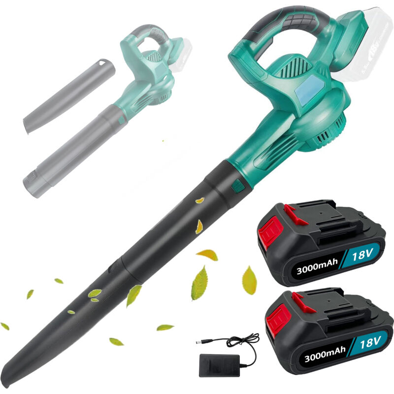 Souffleurs à feuilles électriques, souffleur à air de jardin électrique sans fil robuste,pour feuilles, neige, poussière, coins, avec 2 batteries