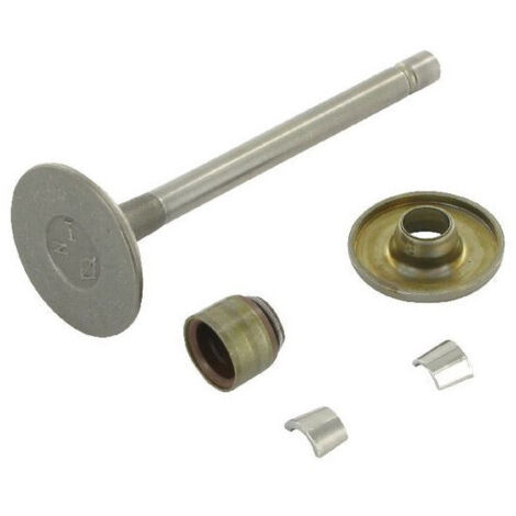 Soupape d'admission BRIGGS ET STRATTON 807680
