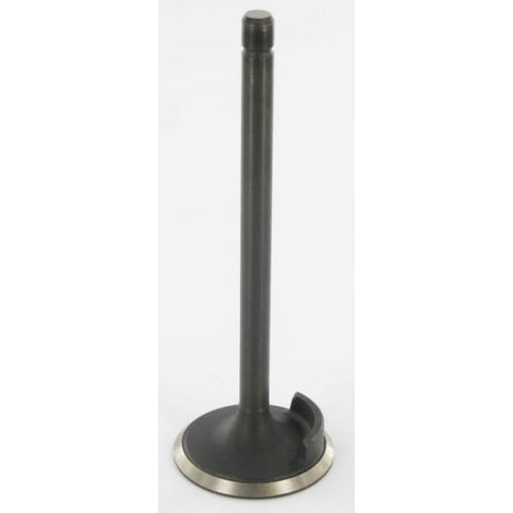 Soupape d'admission FIATAGRI 4802200