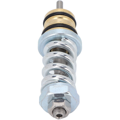 Soupape de décharge 309515003 haute résistance pour pompe de nettoyeur haute pression Troy-Bilt