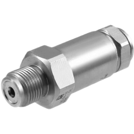 Soupape de décharge de pression pour rampe d'injection 1110010035