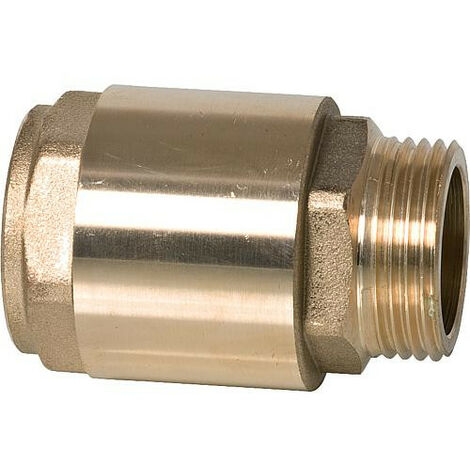 Soupape de retenue en laiton filet fem 1" X male 1" Type 6 circulant de femelle a mâle