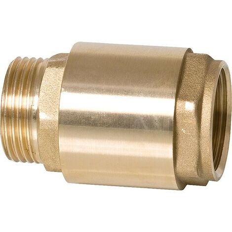 Soupape de retenue filetage mâle vers filetage femelle 1 1/4"avec insert métallique joint en viton