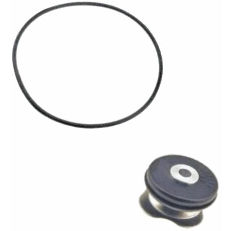 Soupape de sécurité compatible ancienne version+joint (090003010207, 004110901) Divers petit ménager LAGOSTINA