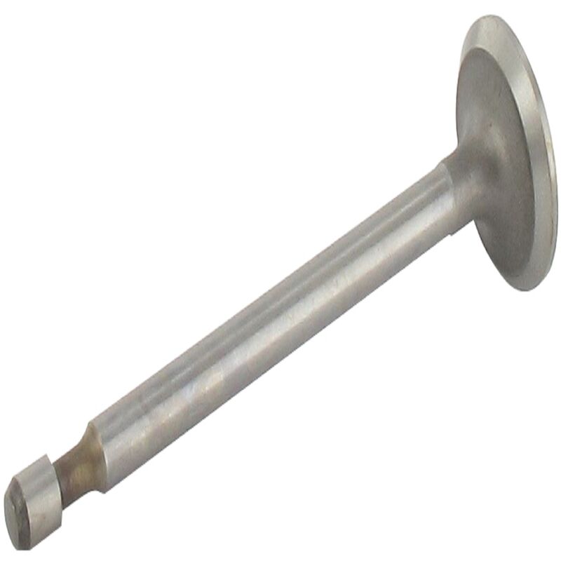 Outdoor Power Sport 7841 Soupape d'échappement adaptable pour Kohler