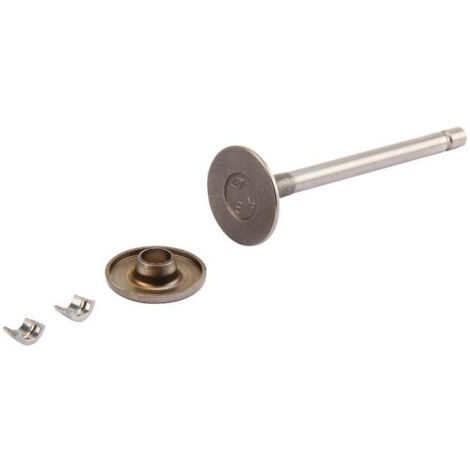 Soupape d'échappement BRIGGS ET STRATTON 807681