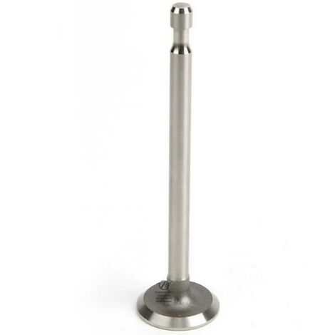 Soupape d'échappement pour moteur Briggs & Stratton N° 211 119