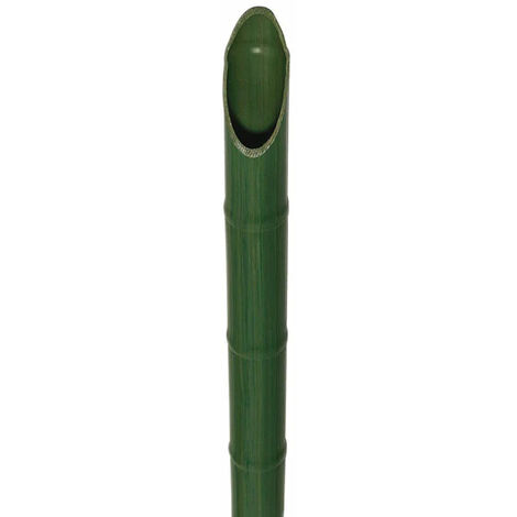 Soutenir les conseils du gardien plastique pour les plantes Ø29 mm. - H2.10 Mt.