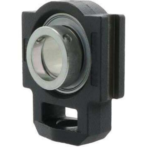 Spann-Gehäuseeinheiten PTUE20 -TV-FA125.5 20mm 1St./VE INA