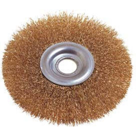 SPAZZOLE A DISCO CIRCOLARE CON FORO  - ø mm.150 foro mm.16/20/32 PG  FER-70812