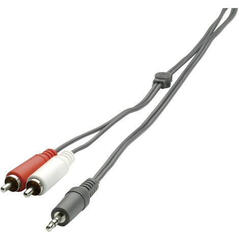 SpeaKa Professional SP-1300360 Cinch / Klinke Audio Anschlusskabel [2x Cinch-Stecker - 1x Klinkenste