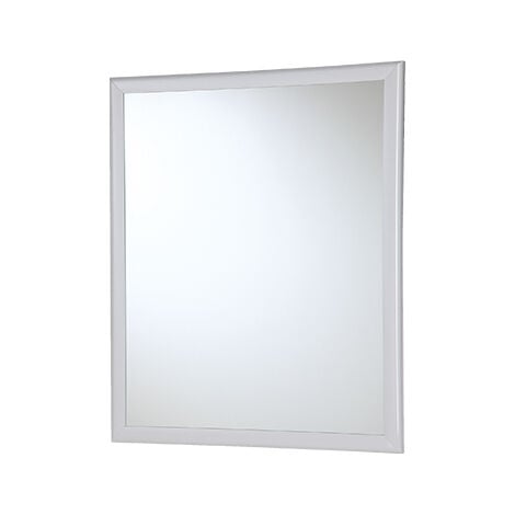 SPECCHI BAGNO RETTANG. CM.45X55  -332006