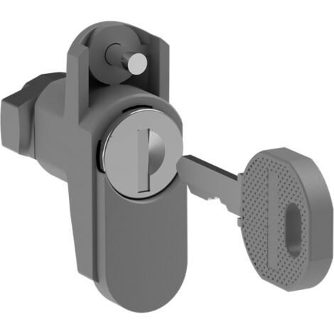 SPEE- Serrure RONIS 455 et clé 2CPX010911R9999 ABB ESAC1012