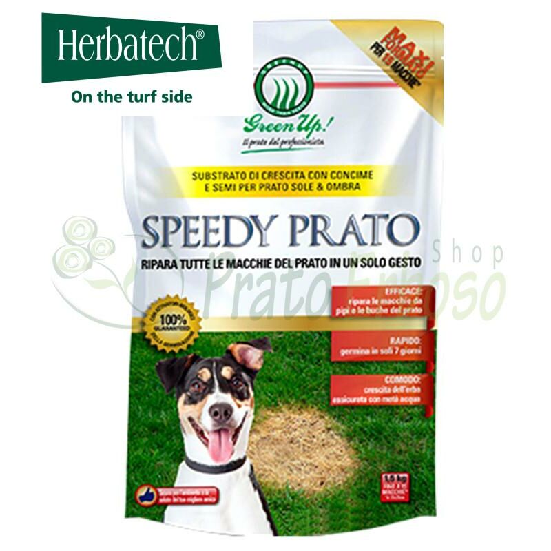 

Speedy Prato - Semillas para la regeneración del césped de 1,5 Kg