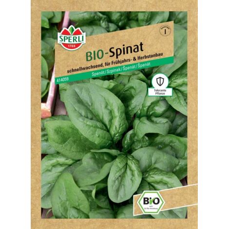 Sperli BIO Spinat Gemüsesamen
