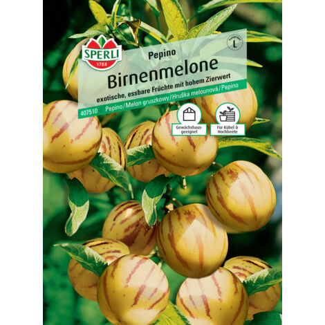 Sperli Birnenmelone Pepino Gemüsesamen