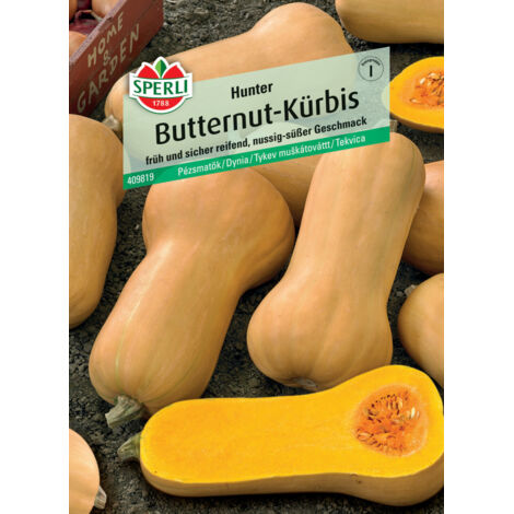 Sperli Butternutkürbis Hunter F1 Gemüsesamen