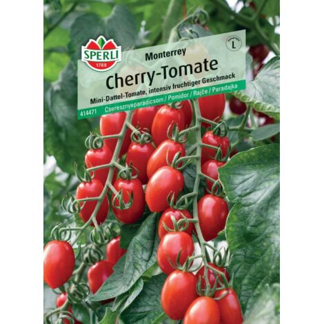 Sperli Cherrytomate Monterrey F1 Gemüsesamen