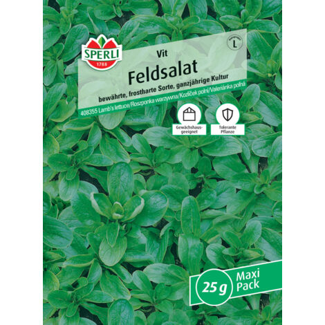 Sperli Feldsalat Vit MaxiPack 20g Gemüsesamen