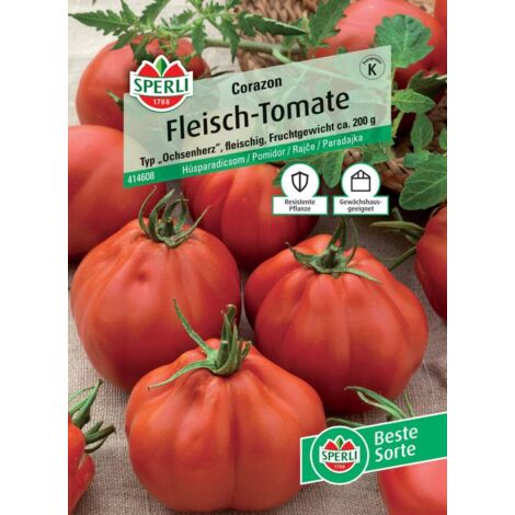 Sperli Fleisch-Tomate Corazon F1 Gemüsesamen