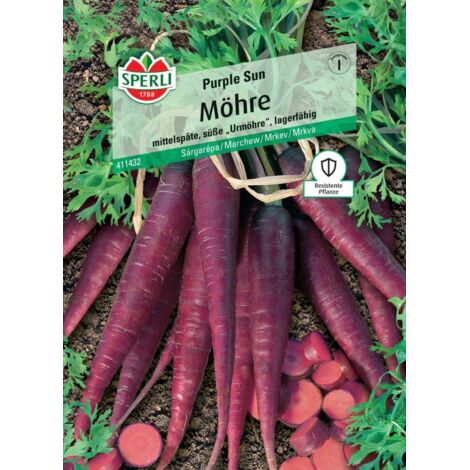 Sperli Möhre Purple Sun F1 Gemüsesamen