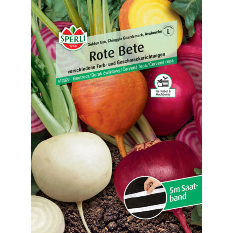 Sperli Rote Bete Golden Eye Chioggia Guardsmark Avalanche Saatband Gemüsesamen