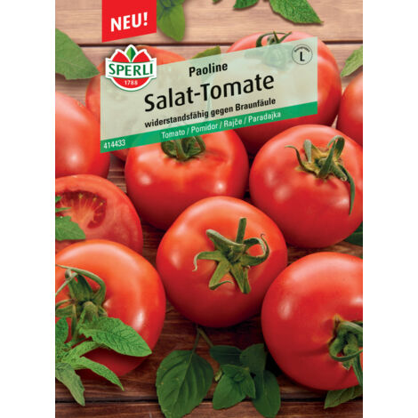 Sperli Salattomate Paoline F1 Gemüsesamen