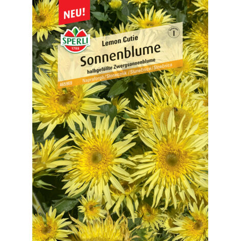 Sperli Sonnenblume Lemon Cutie Gemüsesamen