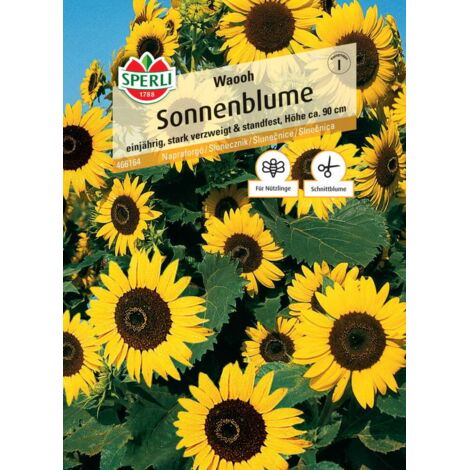 Sperli Sonnenblume Waooh Gemüsesamen