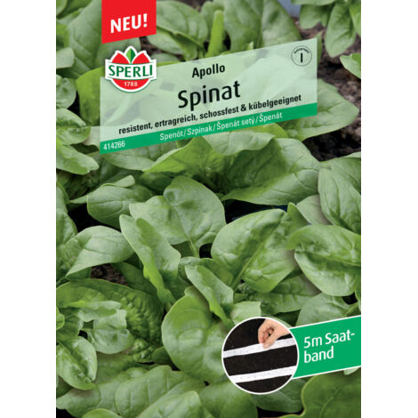 Sperli Spinat Apollo F1 Saatband Gemüsesamen