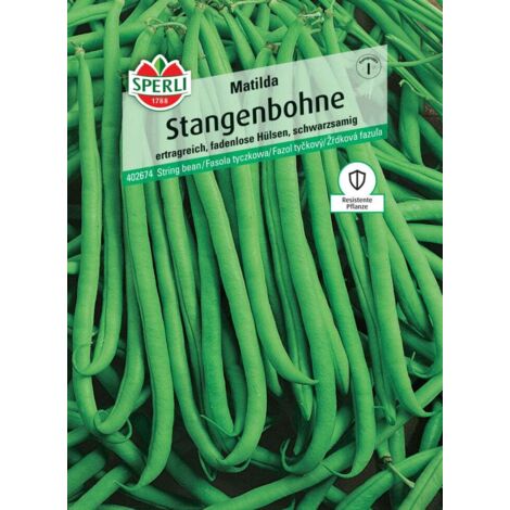 Sperli Stangenbohne Matilda Gemüsesamen