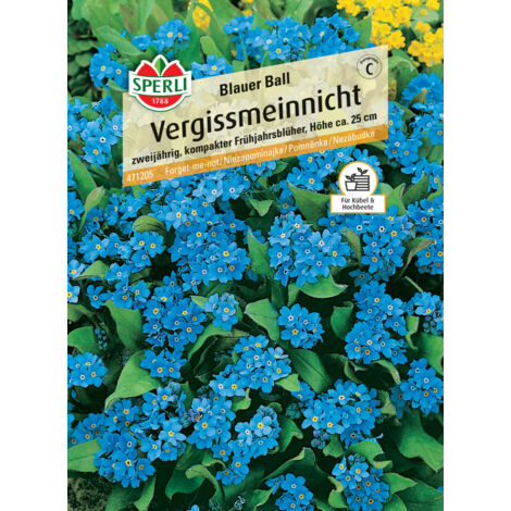 Sperli Vergissmeinnicht Blauer Ball