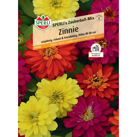 Sperli Zinnie SPERLI's Zauberball-Mix Gemüsesamen