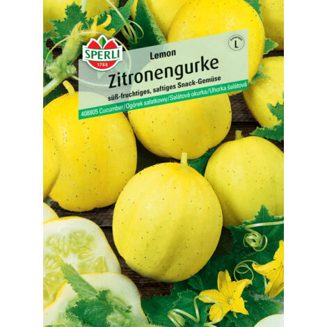 Sperli Zitronengurke Lemon Gemüsesamen