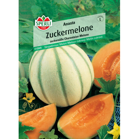 Sperli Zuckermelone Anasta F1 Gemüsesamen