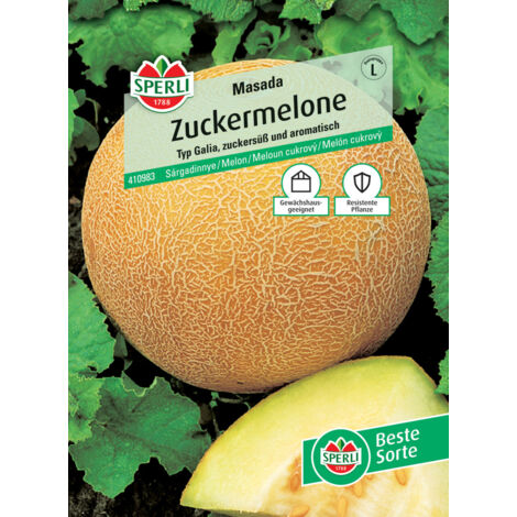 Sperli Zuckermelone Masada F1 Gemüsesamen