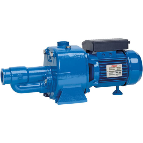 SPERONI CA150 1,5 HP 1,1 KW TRIFASE Elettropompa Autoadescante con Eiettore
