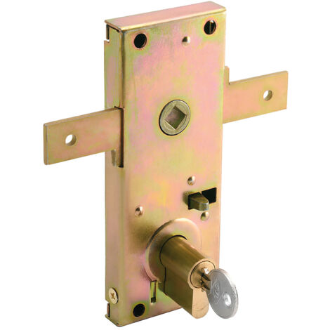 Sperren Sie Cvl 11b Up and Over Doors