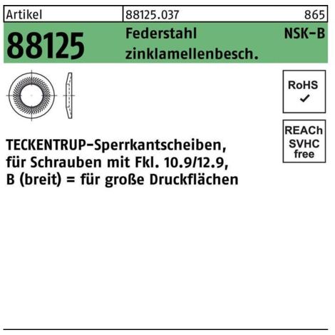 Sperrkantscheibe R 88125 NSK-B 6 Federstahl zinklamellenb. 1000St. TECKENTRUP