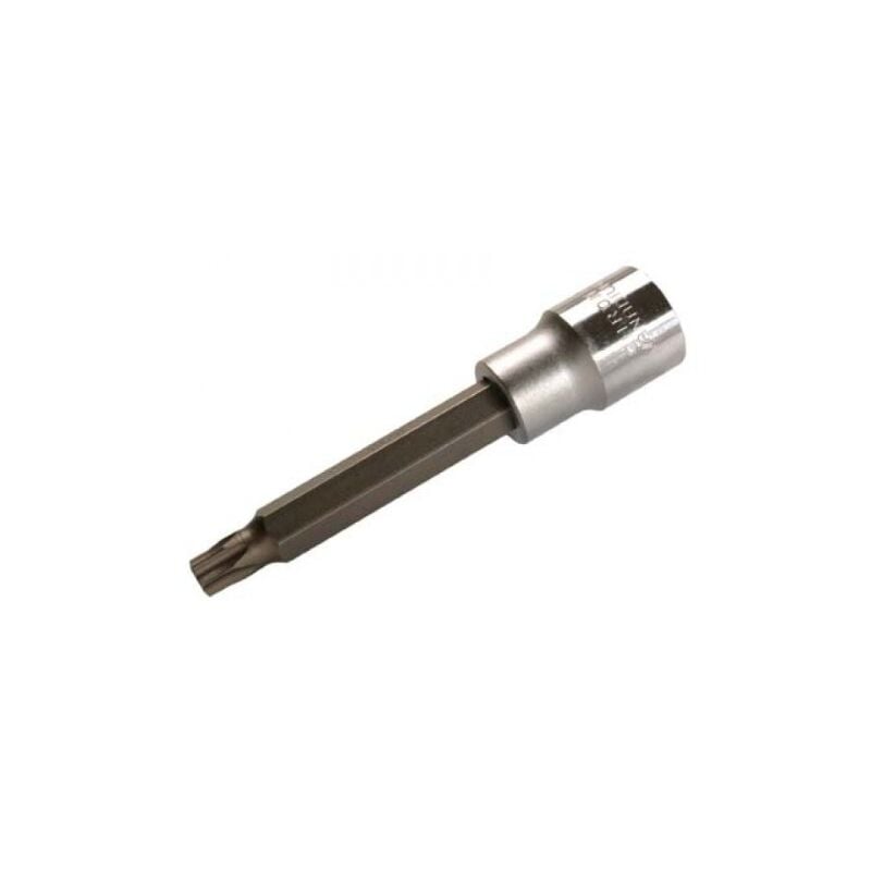 Spezial-profil t-insert, 12.5 (1/2), ou exemple 100 mm de long, T45