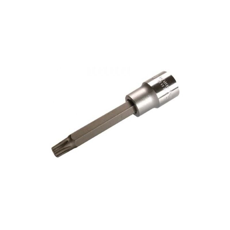 Spezial-profil t-insert, 12.5 (1/2), ou, par exemple, 100 mm, T50 long