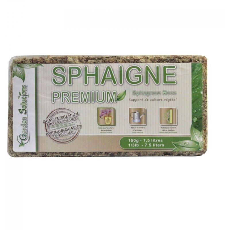 Sphaigne du Chili 150gr