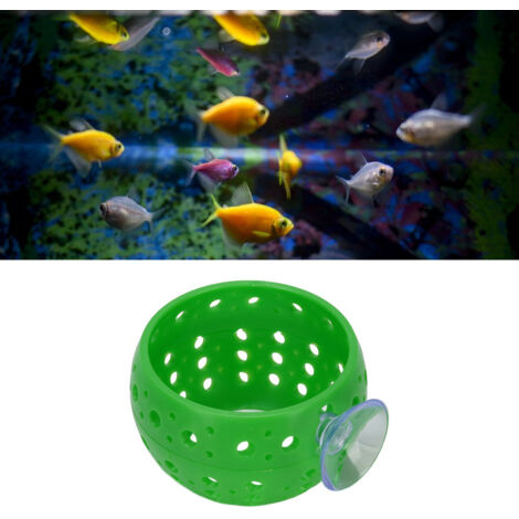 Sphère aquatique reposant - Logement pour poissons bettas et crevettes avec cupule - Plastique vert vert