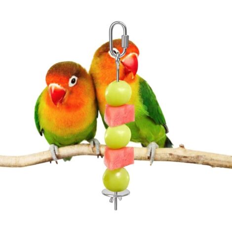 Spiedino per cibo per uccelli, porta frutta in acciaio inossidabile per uccelli, paletto per verdure per uccelli, posatoio, gabbia per ara, parrocchetto, calopsitta, conuro, canarino, inseparabile, ca