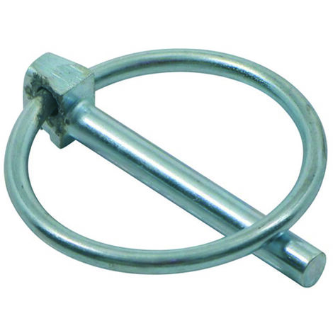Spine a scatto - ø mm.6x36
