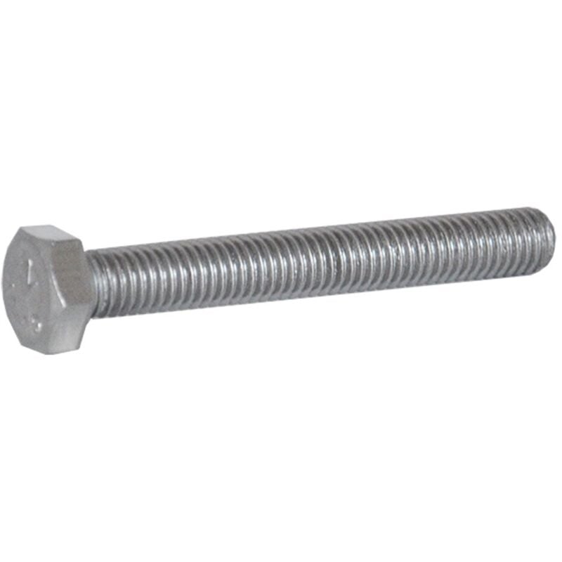 Spinelli Srl - bullone testa esagonale inox A2 16