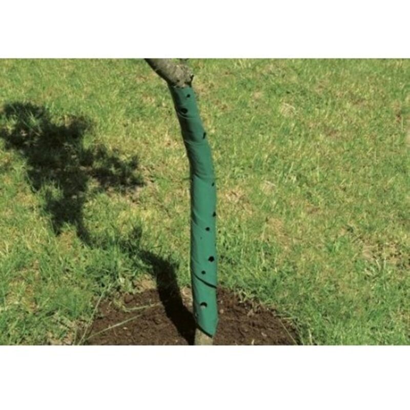 Spirale de protection des arbres 60 cm