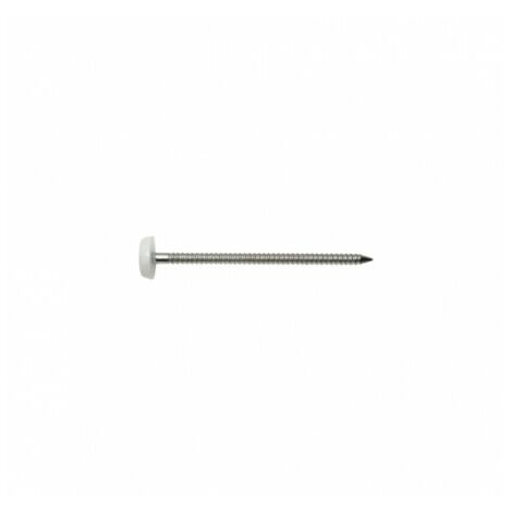 Spitzen Edelstahl A4 2x30 mm Kopf weiß - 250 Stück - SWG