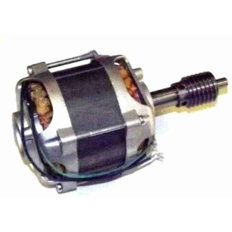 SPMTG07700A Grupo Motor Eléctrico RUN 1800/V1 Repuesto Original NICE SPMTG07700A